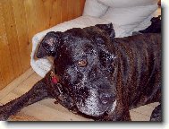 tak co na mn� koukate?