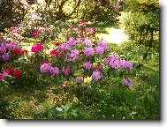 n���dhera �e ano