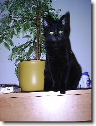 ... z�ti�� ...