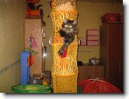 Ted�k