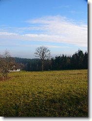 V podje�t�d�