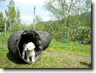 Jak se v�m l�b�m ?