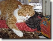 takhle se zah��v�me, kdy� spink�me