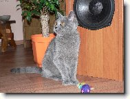 Kam �e se to m�m usm�t?