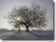 Sun��ko u� vykukuje