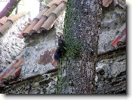 ���r nad S�zavou - z�meck� park