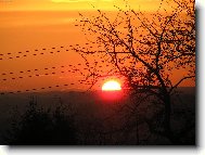 U� se schov�v�