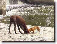 VEK� �T�N� A MLAD� D�MA