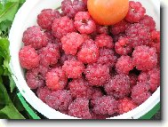 sladk� poku�en�