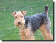 Bert�k