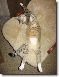 To k�eslo je mi mal�