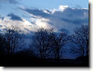 Divok� p��roda