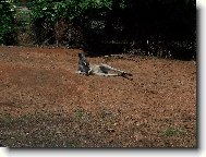 Kone�n� pohoda...