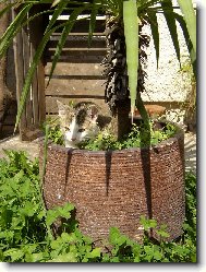 Nezn�m nic lep��ho...