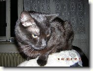 toto k�eslo je te� moje