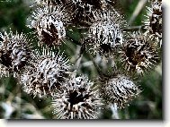 Pozor, a� t� nep�chnu