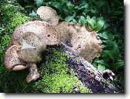 odsud u� se nehneme