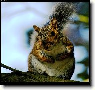 Nem� o��ek ?!?!?!?