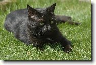 Just�na p�i odpo�inku