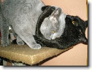 nikomu t� ned�m!!!