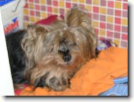 Sem star�,ale r�da si p�isp�m
