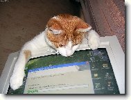 takovouhle my� jsem je�t� nevid�l