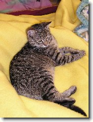 v posteli je nejl�p