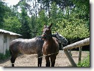 v��chni jsou ospal�