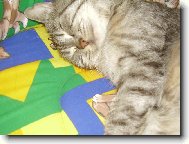 spink�m!!zzz..z.z.z..zzzzzzzzzzzz