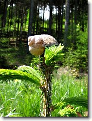 Pro lep�� v�hled