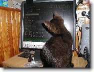 co je tam zaj�mav�ho?