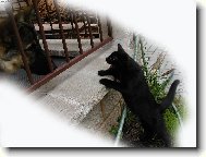 Zdrav�m k�mo , jak jeeeeeeee ?