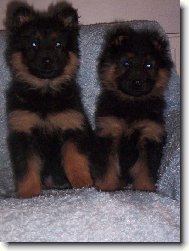 mal� cho���ci