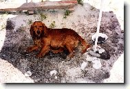 Ten st�n je m�j !