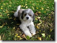 Ne, nejsem ply�ov�.. :-)