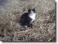 a tak tady sed�m a sed�m...