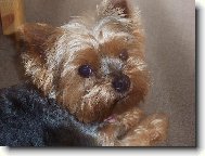 M�j roztomilej Mat�sek