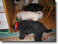 �t�drove�ern� ve�e�e