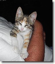 J� se nechci fotit!