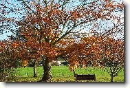 podzim-kouzeln� mal��