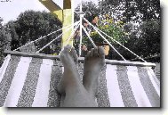 Letn� pohodi�ka...