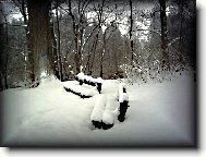 �EK�N� NA JARN� L�SKY