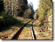 TOULKY PO KOLEJ�CH