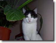 m�m r�d v��ky a kytky