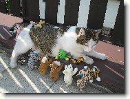 j� a m�j har�m