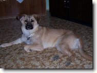 je�t� jednou bez ozdob