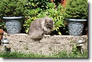 kdepak je ta my�ka..