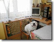 J� v�m �e sem nesm�m...ale odtud je l�p vid�t !!!