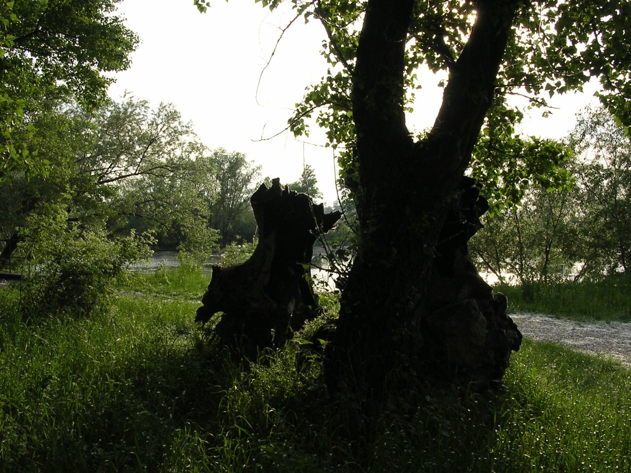 Foto: Kvetina