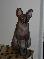 Chovatelska stanice ps�: NEMESIS